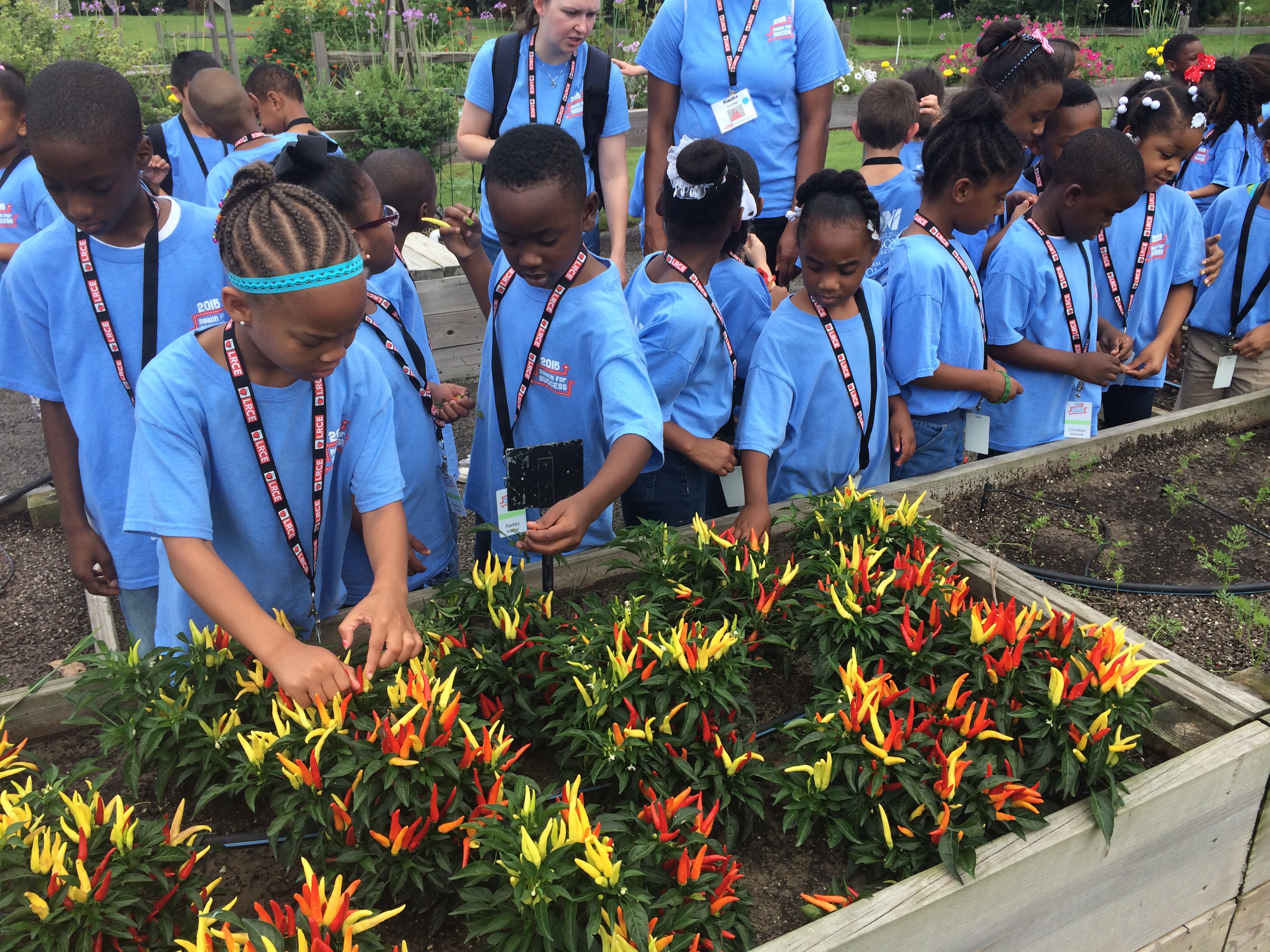 Children’s Garden series set for LSU AgCenter Botanic Gardens at Burden 